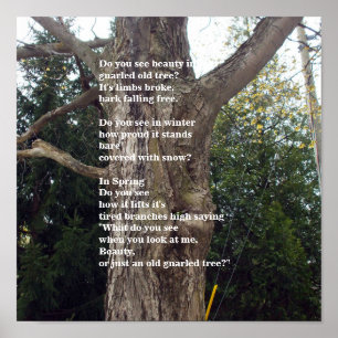 Póster Bare Tree Poem fot Arbor Day