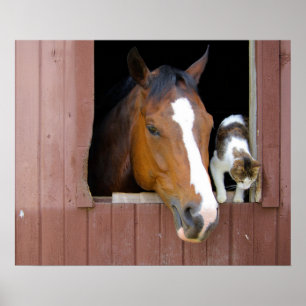 Póster Barn Buddies
