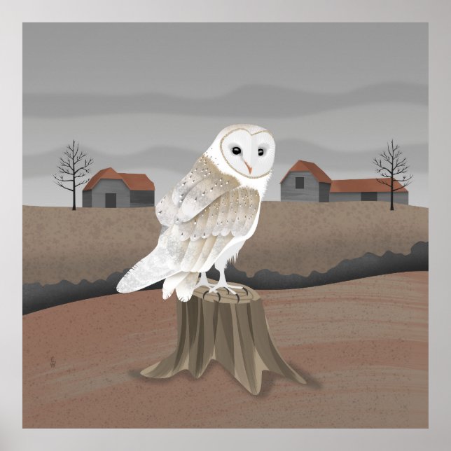 Póster Barn Owl (Frente)