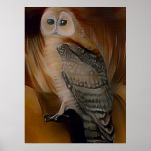 Póster Barn Owl 🦉