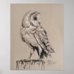 Póster Barn Owl