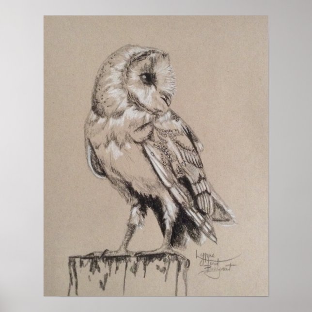 Póster Barn Owl (Frente)