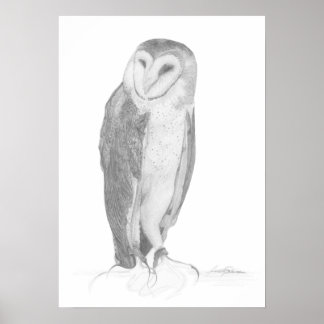 Póster Barn Owl | Art Print