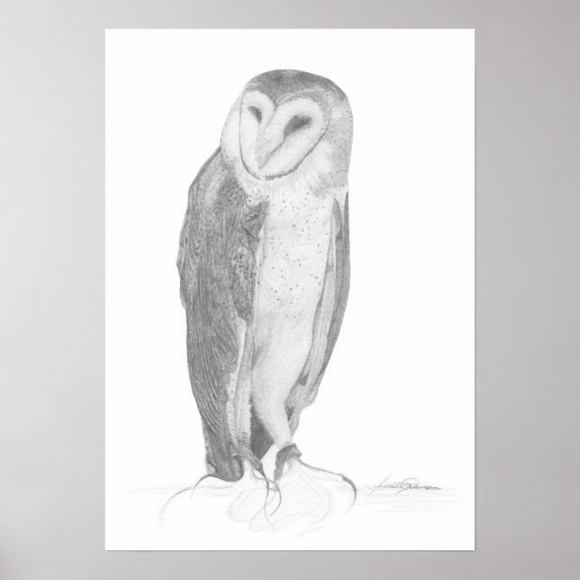 Póster Barn Owl | Art Print (Frente)