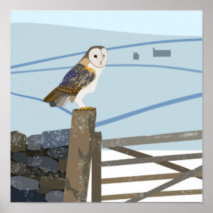 Póster Barn owl Poster