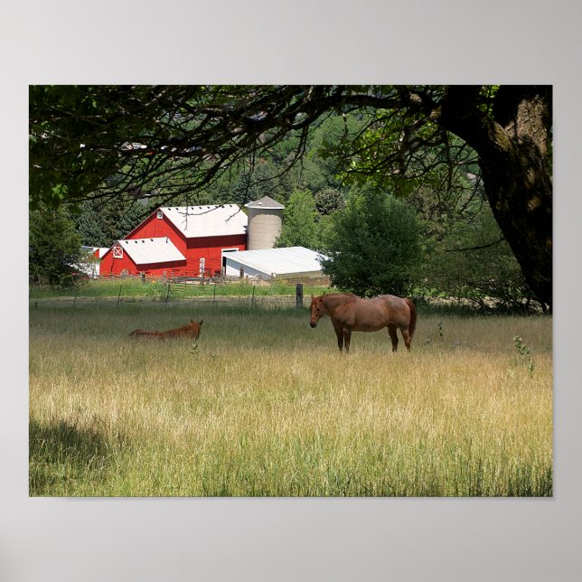 Póster Barn Rojo Y Caballos (Frente)