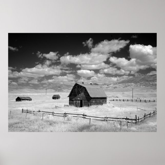 Póster Barn Viejo (Frente)