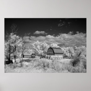 Póster Barn Viejo
