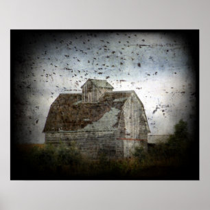 Póster Barn y Aves