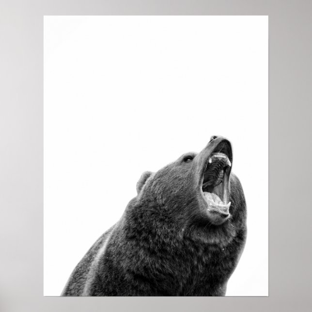 Póster Barnizante oso pardo negro blanco moderno (Frente)