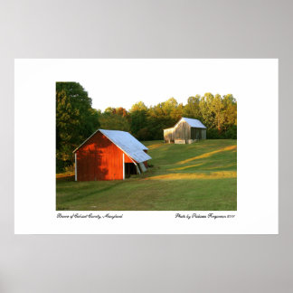 Póster Barns del condado de Calvert, Maryland