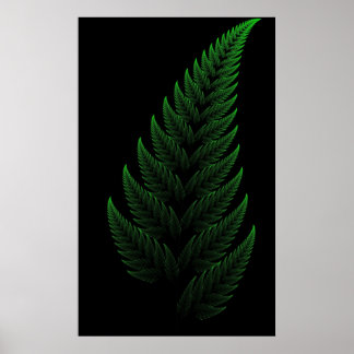 Póster Barnsley Fern