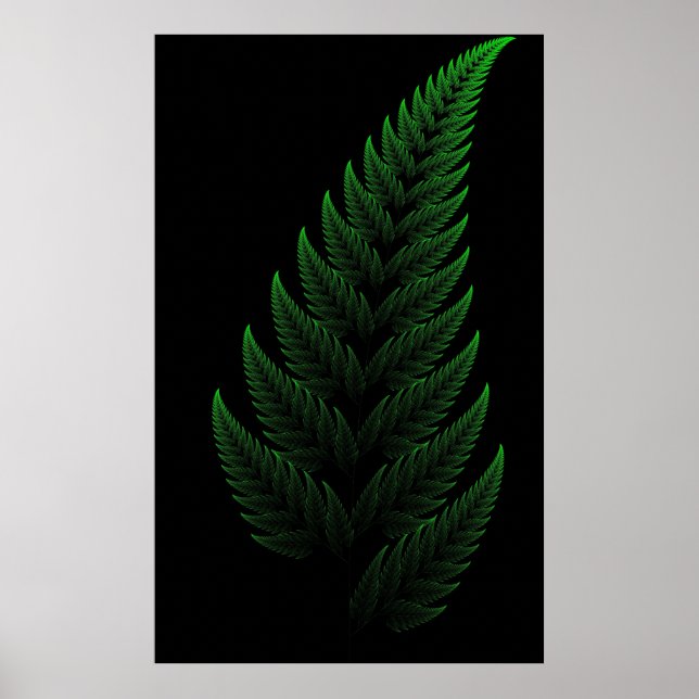 Póster Barnsley Fern (Frente)