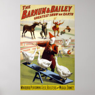 Póster Barnum & Bailey - Geese con una actuación maravill