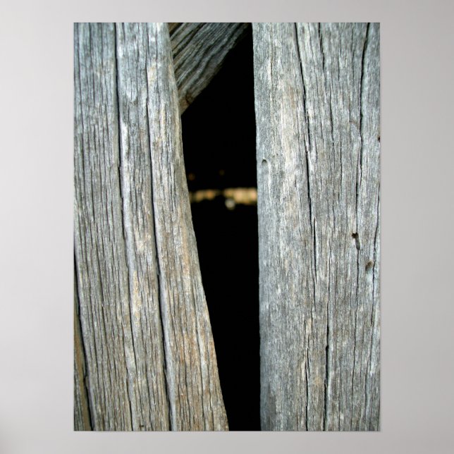 Póster Barnwood (Frente)