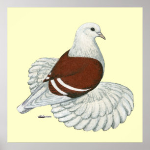 Póster Barra blanca roja del pichón del Escudo del Saxon