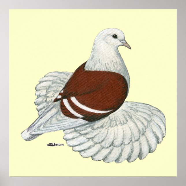 Póster Barra blanca roja del pichón del Escudo del Saxon (Frente)