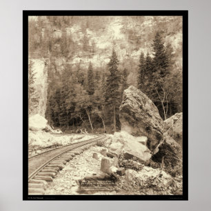 Póster Barranco Black Hills SD 1890 de los alces de la