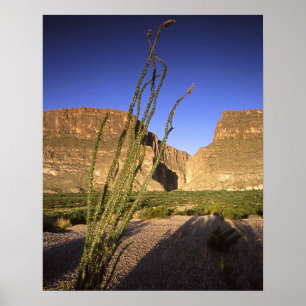 Póster Barranco de Santa Elena