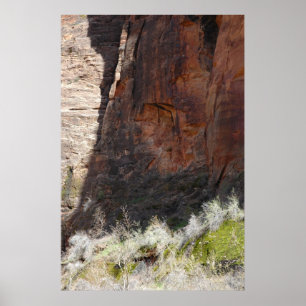 Póster Barranco de Zion