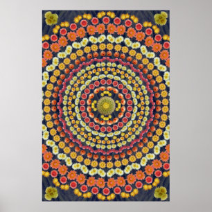PÓSTER BARREL CACTUS MANDALA 3