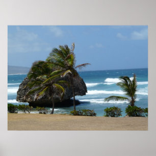 Póster Barrido de viento