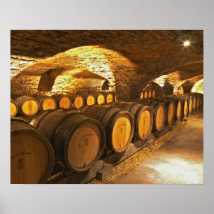 Póster barriles de roble en el sótano de Domaine Comte