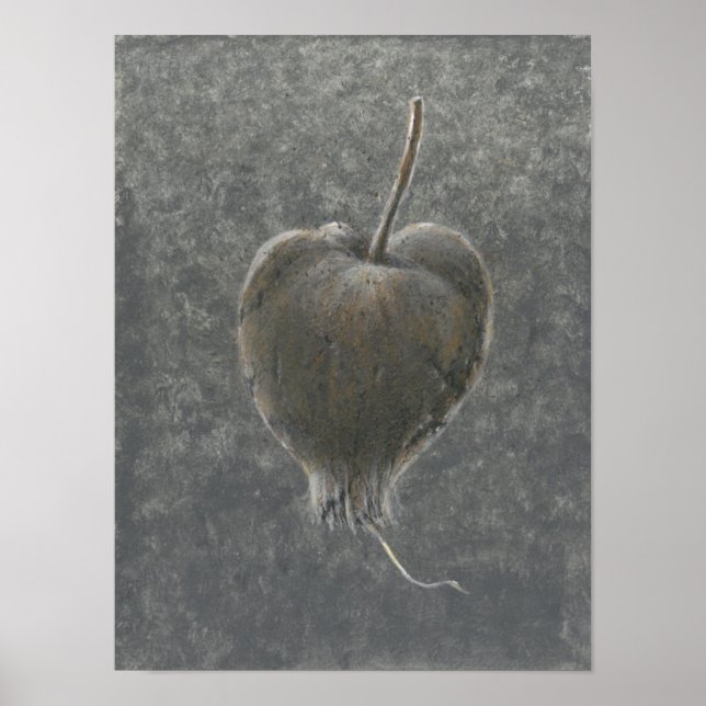 Póster Barringtonia Acutangula 2 (Frente)