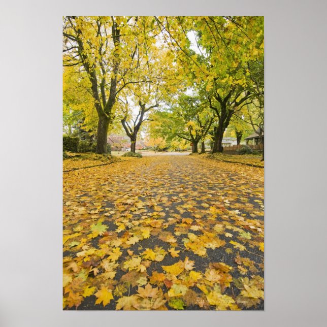 Póster Barrio De Eastmoreland En Otoño (Frente)
