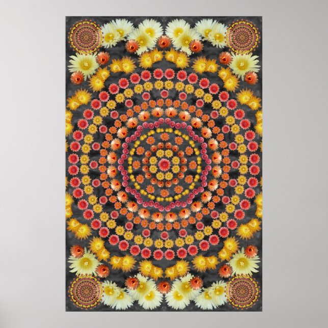 PÓSTER BARRLE CACTUS MANDALA 2 (Frente)