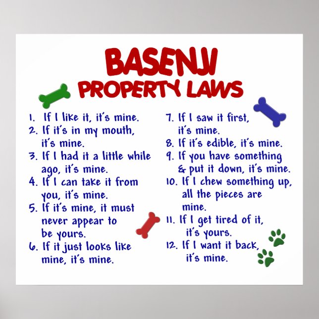 PÓSTER BASENJI PL2 (Frente)