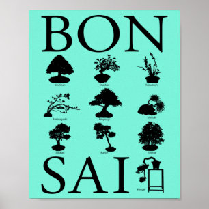Póster Basic Styles of Bonsai Tree
