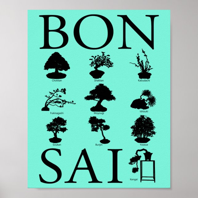 Póster Basic Styles of Bonsai Tree (Frente)