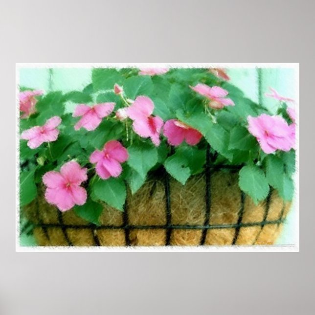 Póster Basket of Impatiens (Frente)