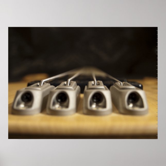 Póster Bass (Frente)