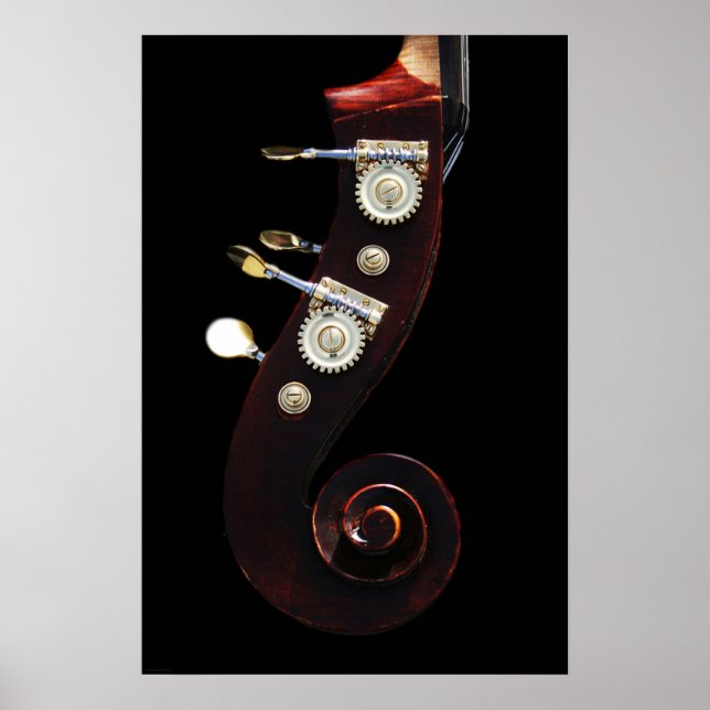 Póster Bass 2 wapcn (Frente)