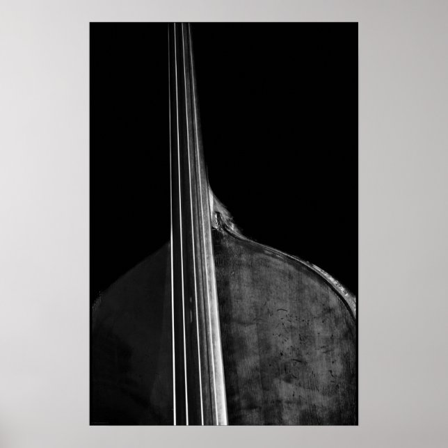 Póster Bass 5 wapcna (Frente)