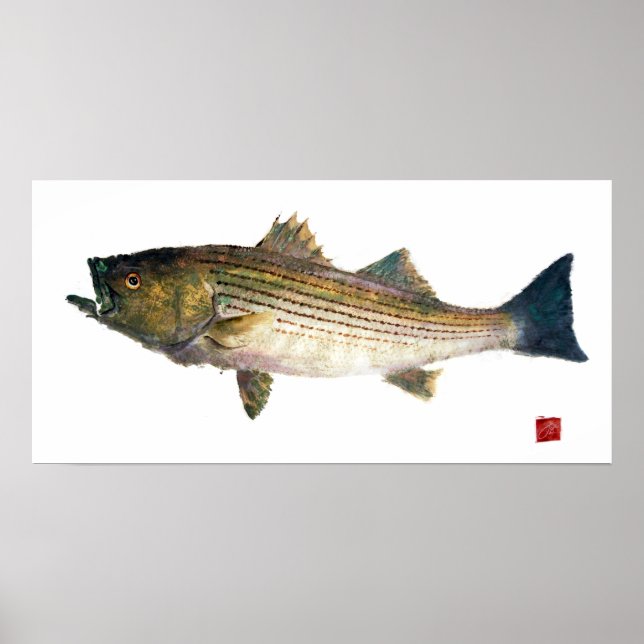 Póster Bass Gyotauku a rayas (Frente)