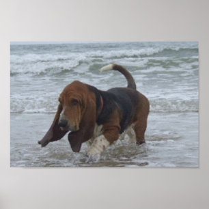 Póster Basset Hound Junto Al Mar