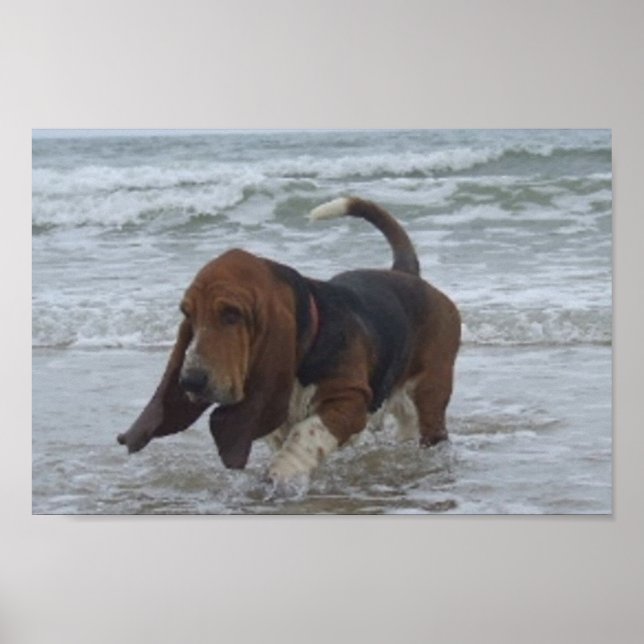 Póster Basset Hound Junto Al Mar (Frente)