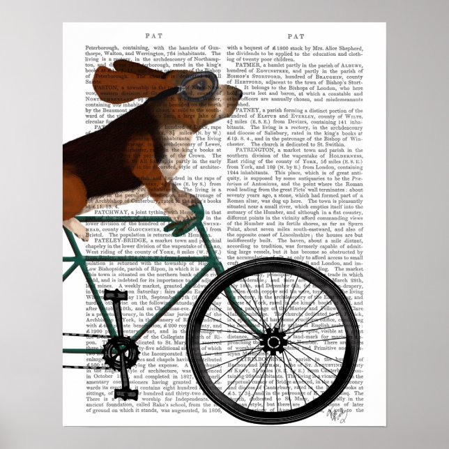 Póster Basset Hound on Bicycle (Frente)