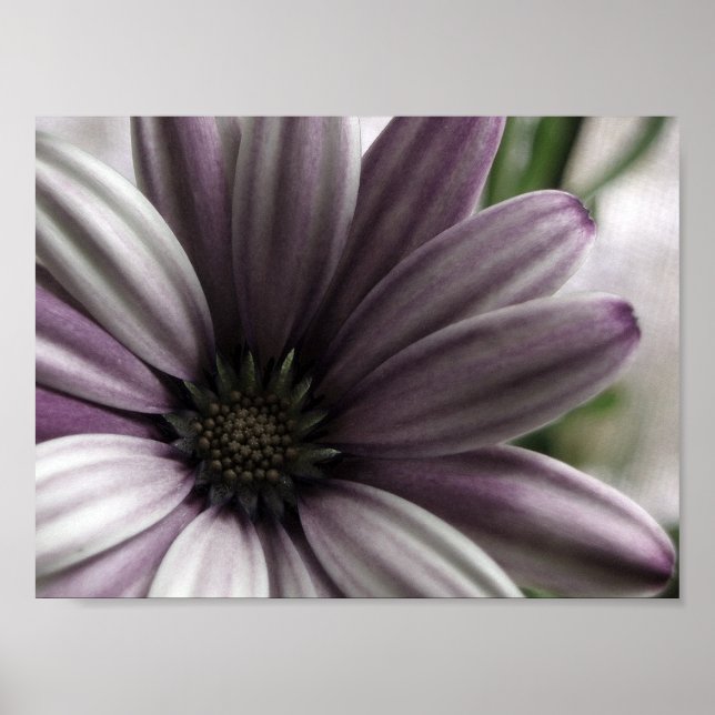 Póster Bastante (Frente)