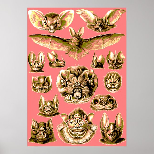 Póster Bat Face (Frente)