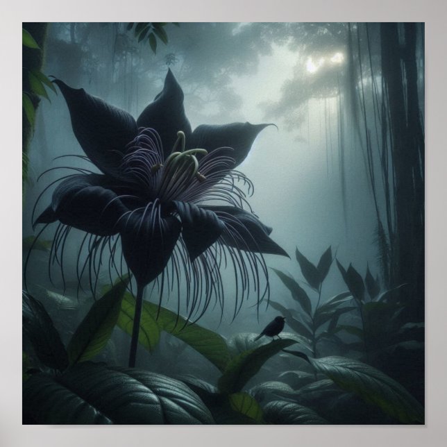 Póster Bat Flower Among Rare Tropical Plants  (Frente)