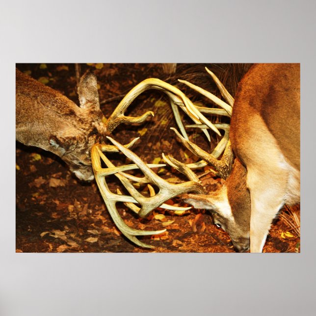 Póster Batalla de los Big Bucks (Frente)