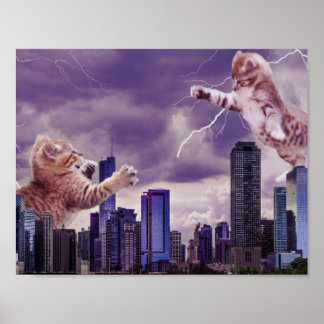 Póster Batalla de los gatos