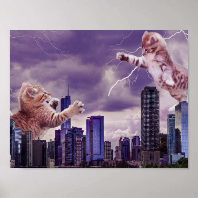 Póster Batalla de los gatos (Frente)