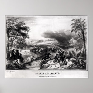Póster Batalla de Palo Alto