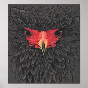Póster Bateleur Eagle African Bird Portrait Paper Collage