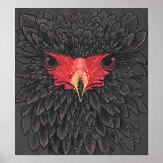 Póster Bateleur Eagle African Bird Portrait Paper Collage (Frente)
